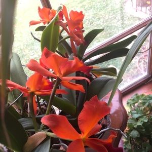 Meet your Posher, Raquel